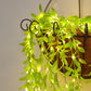 Artificial Vine Leaf Curtain LED String Copper Light, 200 LEDs, 8 Modes, Adjustable Brightness, AC Plug, 3x1m- Ideal for Bedroom, Garden & Birthday Decor (Warm White, 3x1Meter)