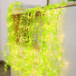 Artificial Vine Leaf Curtain LED String Copper Light, 200 LEDs, 8 Modes, Adjustable Brightness, AC Plug, 3x1m- Ideal for Bedroom, Garden & Birthday Decor (Warm White, 3x1Meter)